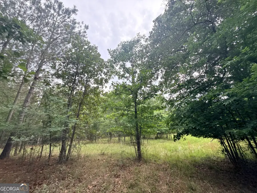 3 Bethesda Church Road, Lexington, GA 30648 - #2