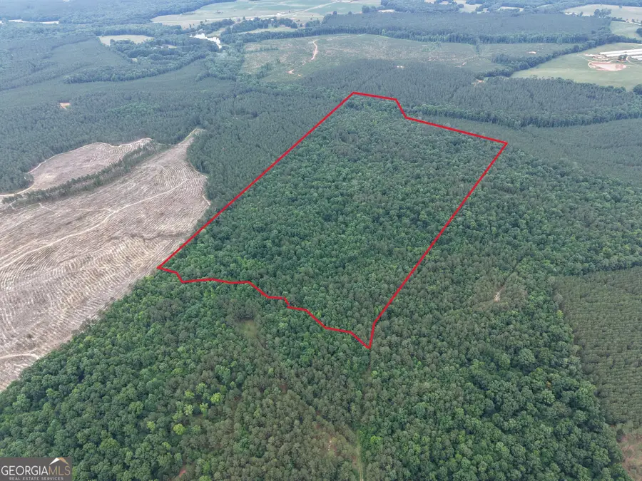 3 Bethesda Church Road, Lexington, GA 30648 - #3