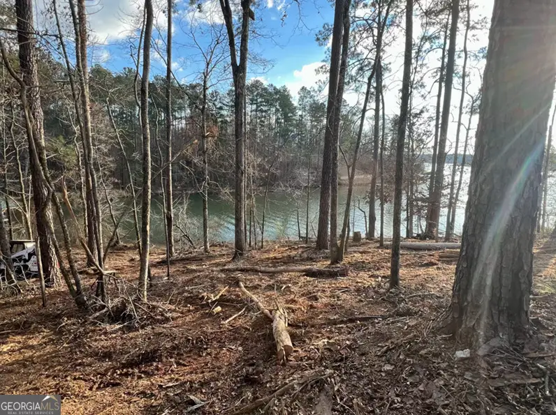 23 Post Oak Ridge, Sparta, GA 31087 - #3