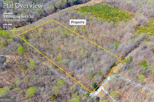 0 Rolling Rock Road, Carnesville, GA 30521