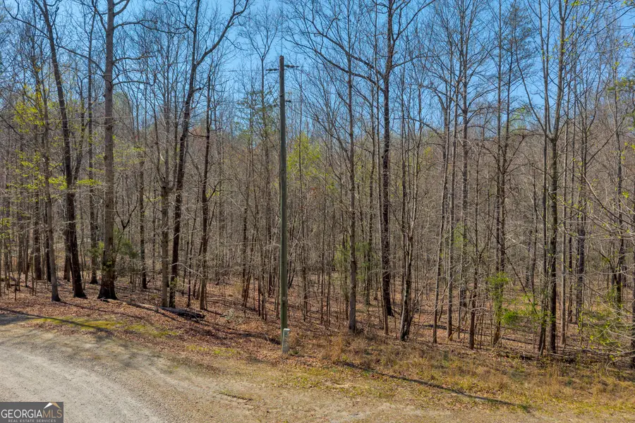 0 Rolling Rock Road, Carnesville, GA 30521 - #3