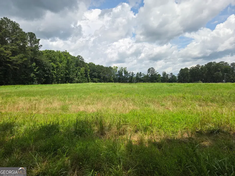 5409 Mount Carmel Road, Gay, GA 30218 - #2