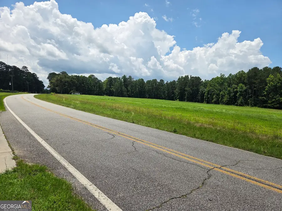 5409 Mount Carmel Road, Gay, GA 30218 - #3