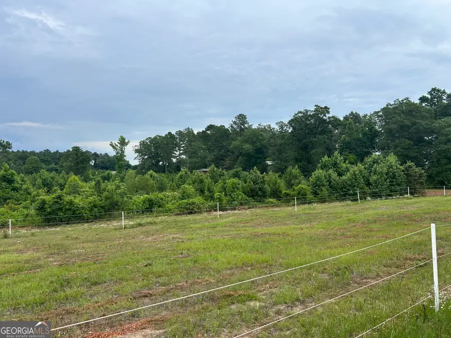 0 B Wynn Ln, Chester, GA 31012 - #3