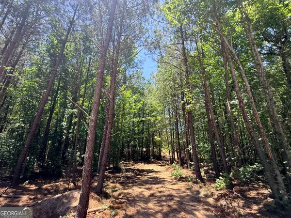 2815 Cedar Creek Rd, Elberton, GA 30635