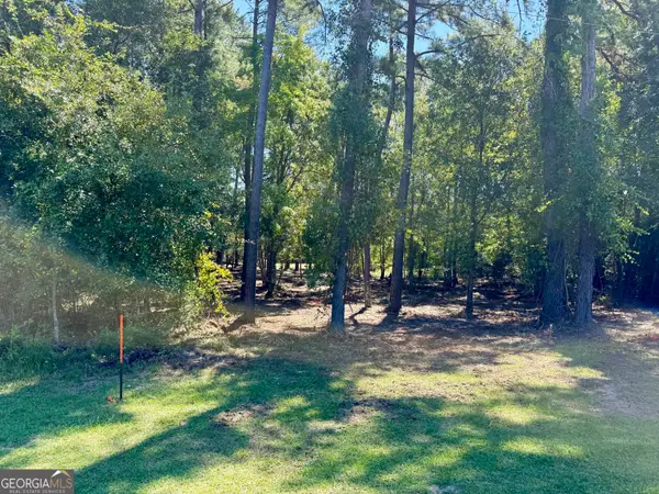 0 Friendship Road, Sylvania, GA 30467