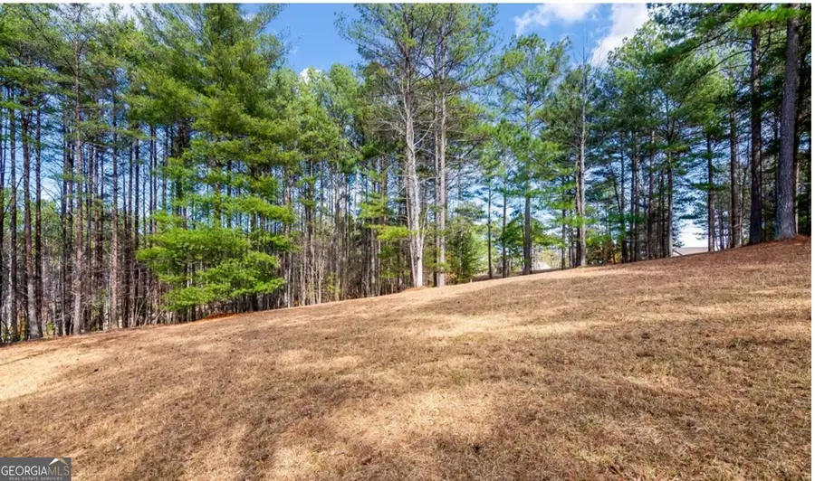 LOT 87 Creek Hollow Lane, Blairsville, GA 30512 - #2
