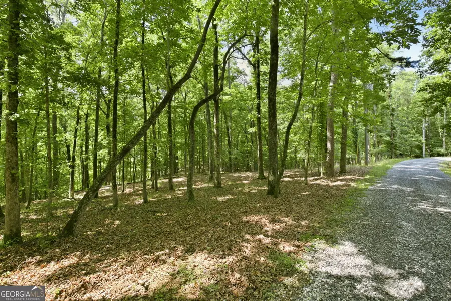 300 Whispering Waters, Demorest, GA 30535 - #3