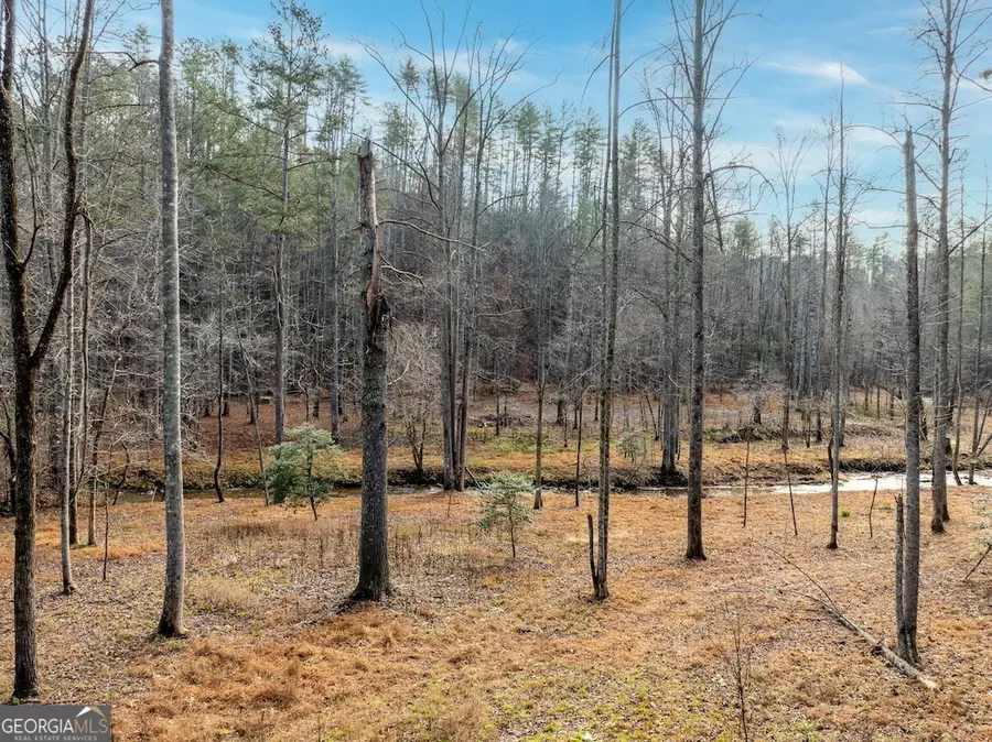780 Banks Road, Ellijay, GA 30540 - #2