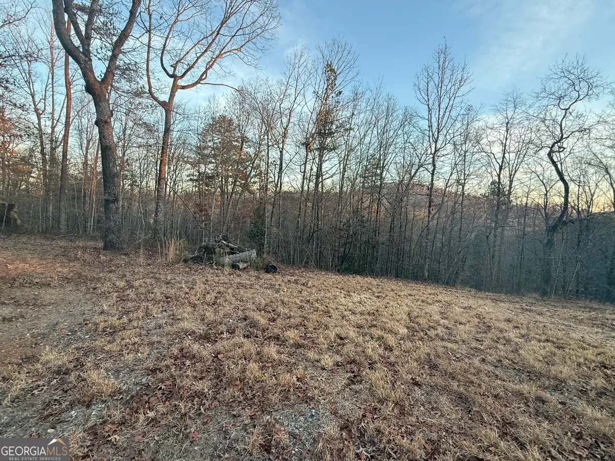 426 Rockhouse Crossing, Demorest, GA 30535 - #1