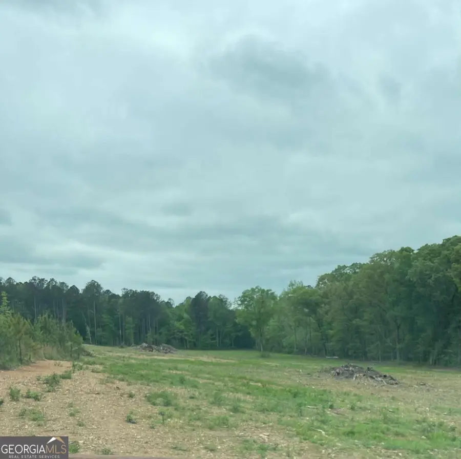 0A Johnson Lake Road #0a, Cedartown, GA 30125 - #2
