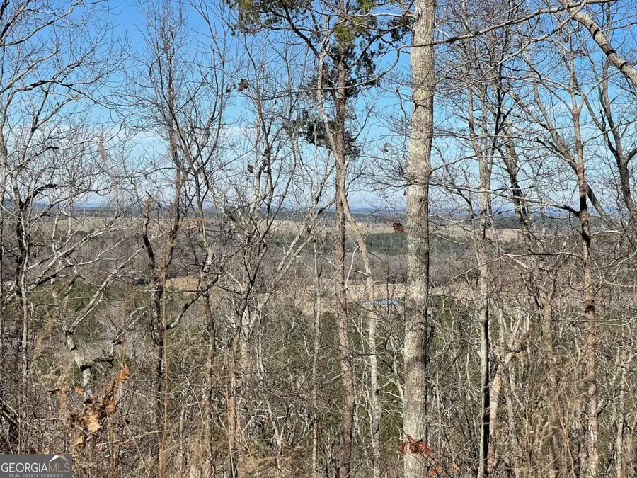 0A Johnson Lake Road #0a, Cedartown, GA 30125 - #3