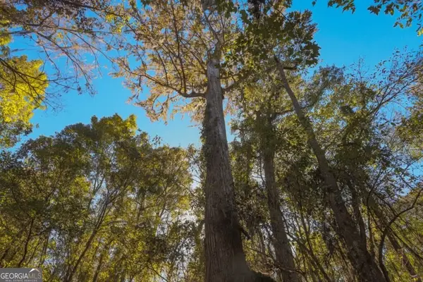 0 Old Savannah Road #TRACT 1, Millen, GA 30442