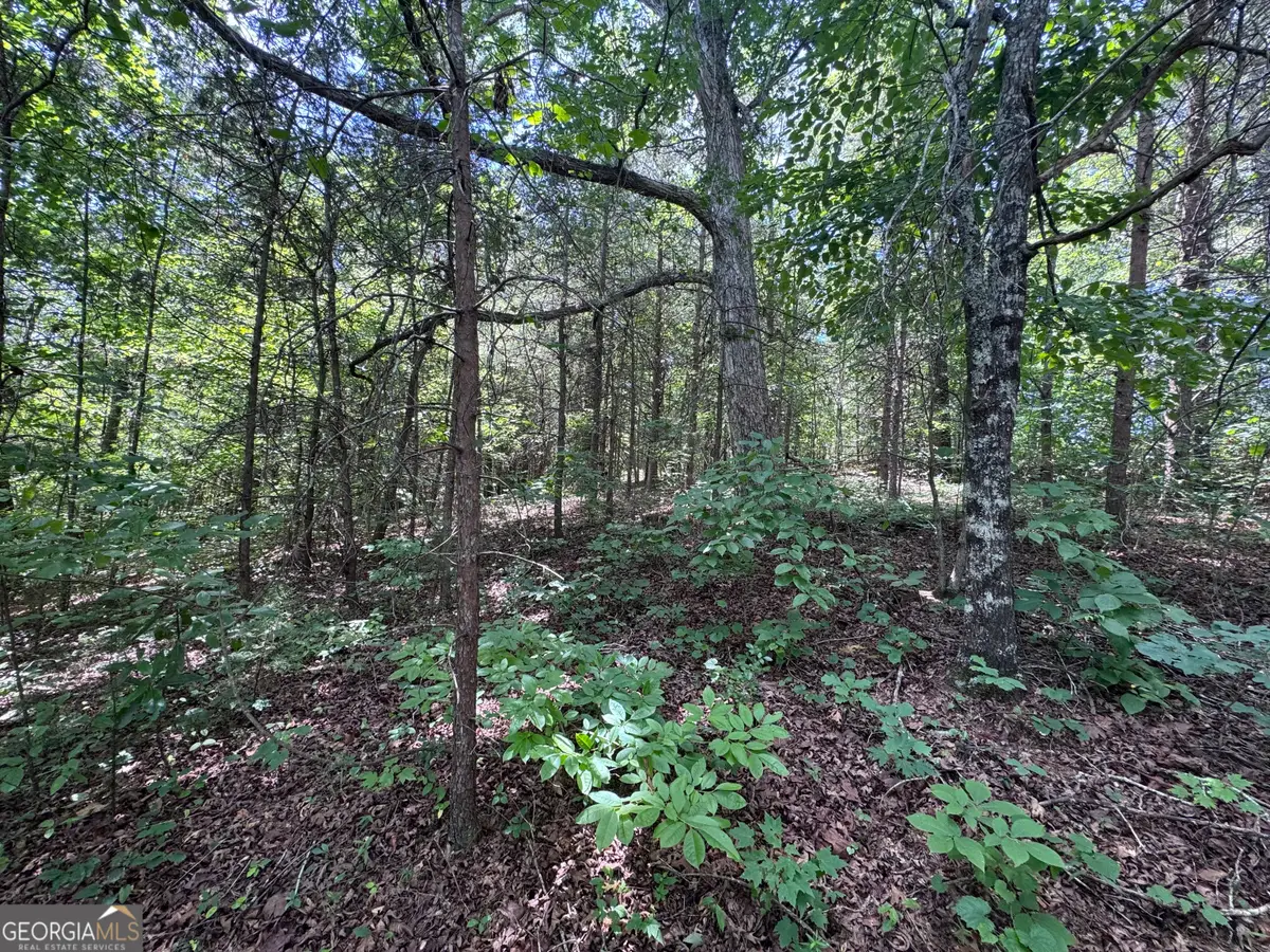 0 Sunshine Ridge, Toccoa, GA 30577 - #1