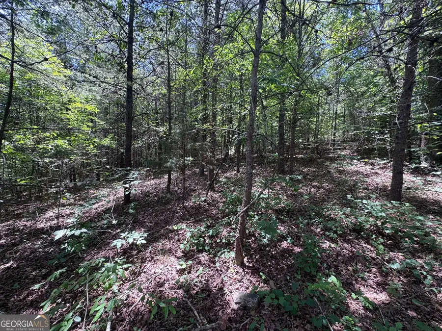 0 Sunshine Ridge, Toccoa, GA 30577 - #3