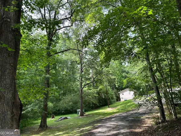 162 Mcintosh Street, Whitesburg, GA 30185
