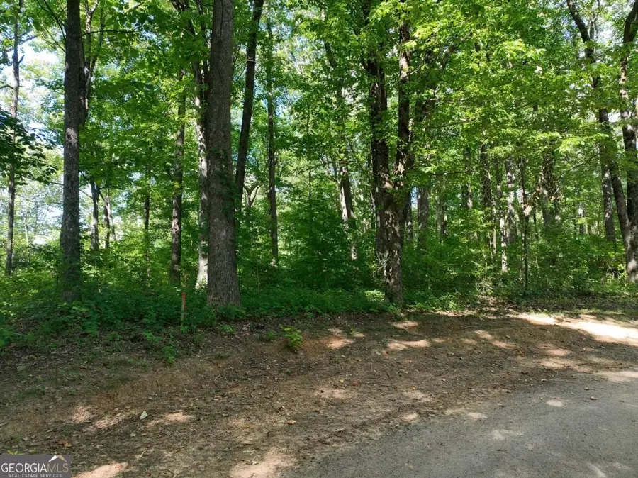 31 Highline Drive, Ellijay, GA 30536 - #2