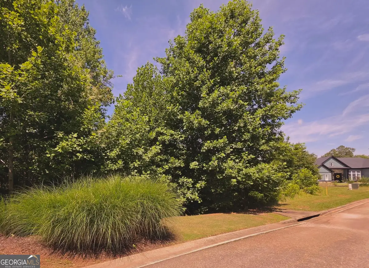 155 Coneflower Lane, Toccoa, GA 30577 - #1
