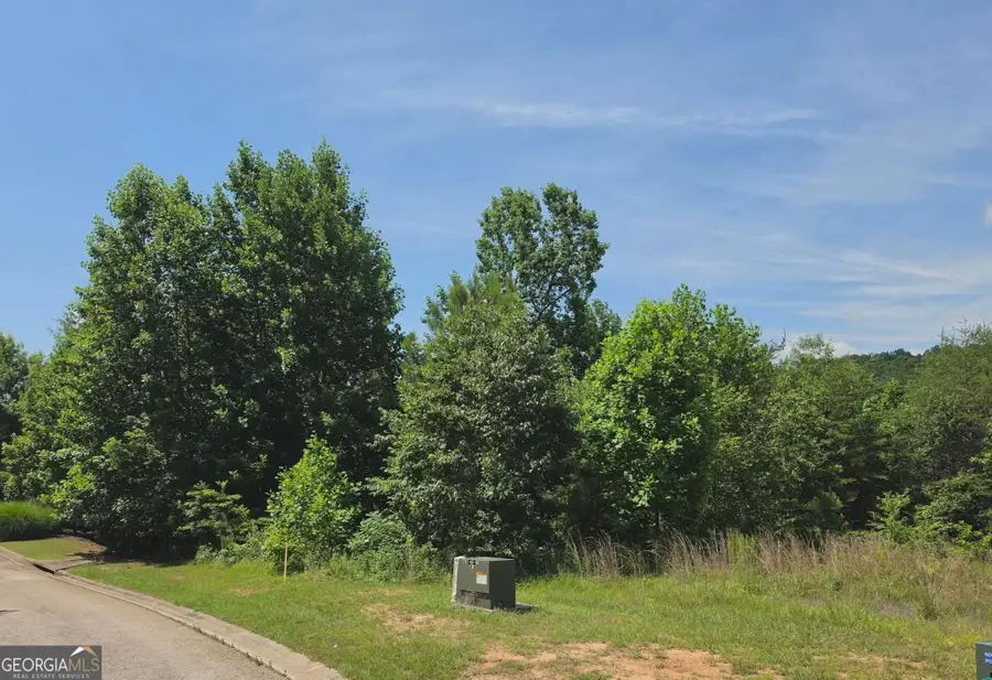 155 Coneflower Lane, Toccoa, GA 30577 - #2