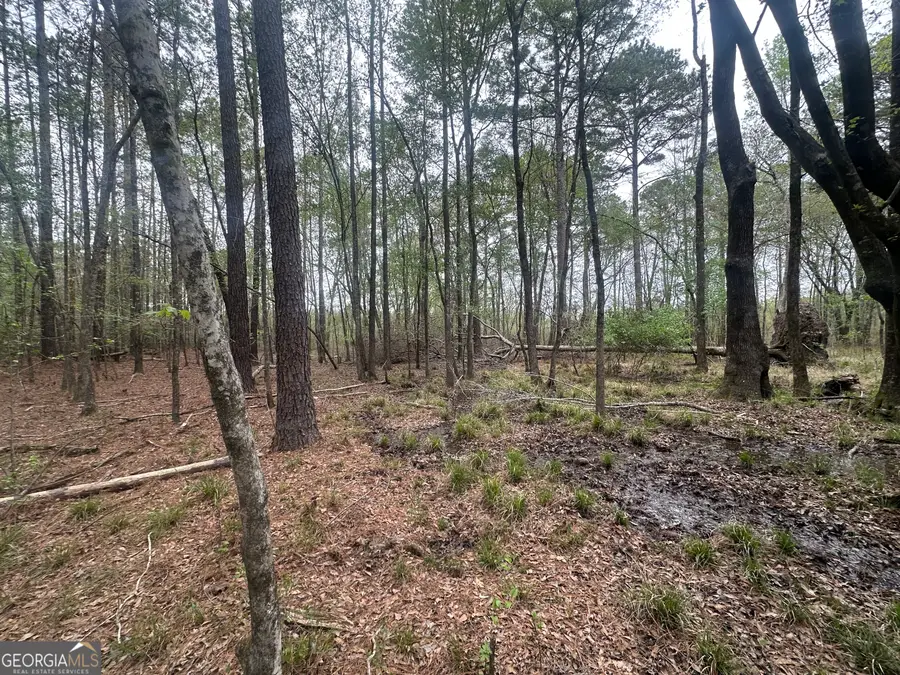0 Fred Chance Road, Perkins, GA 30442 - #2