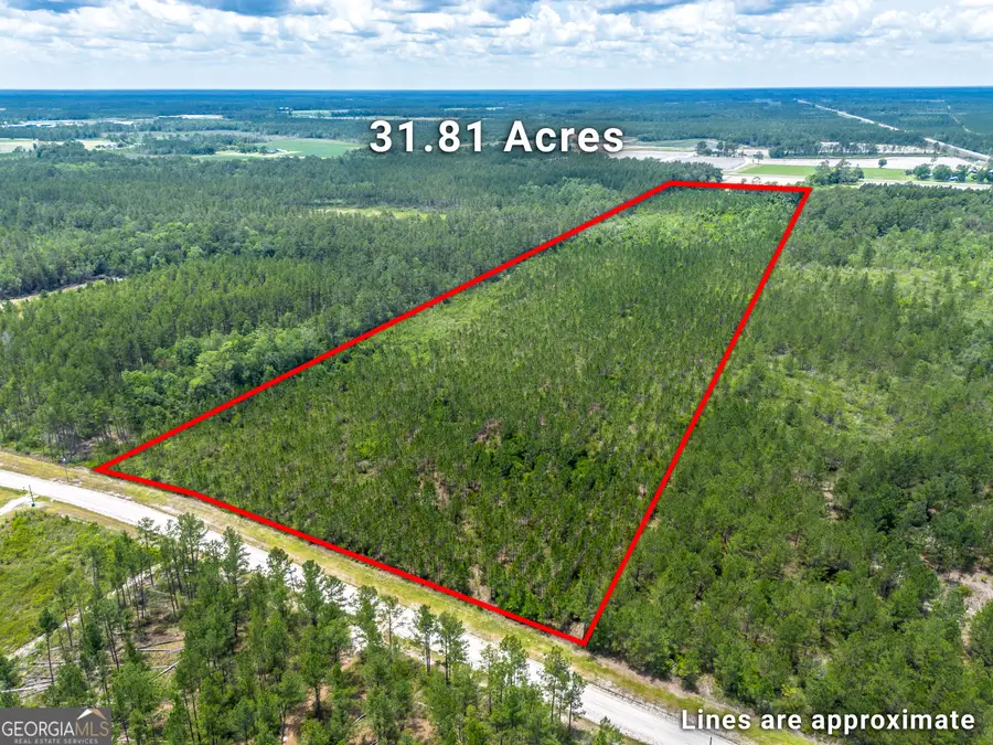 LOT 120 S Farms Edge Road, Manor, GA 31550 - #2