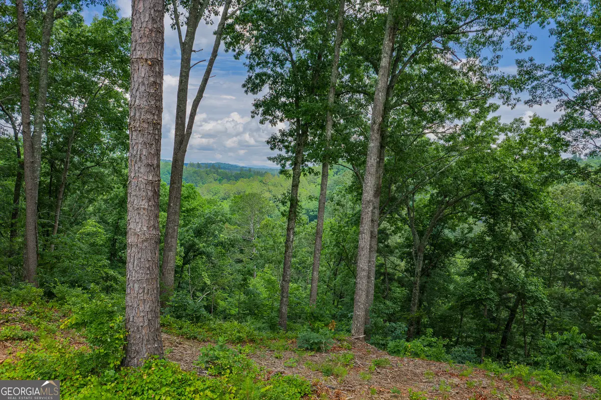 LOT 295A Pebble Trace, Talking Rock, GA 30175 - #1