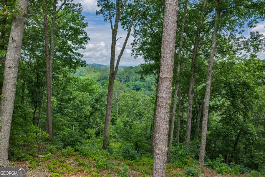 LOT 295A Pebble Trace, Talking Rock, GA 30175 - #2