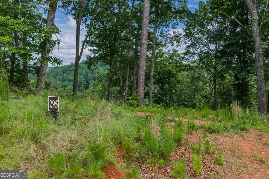 LOT 295A Pebble Trace, Talking Rock, GA 30175 - #3