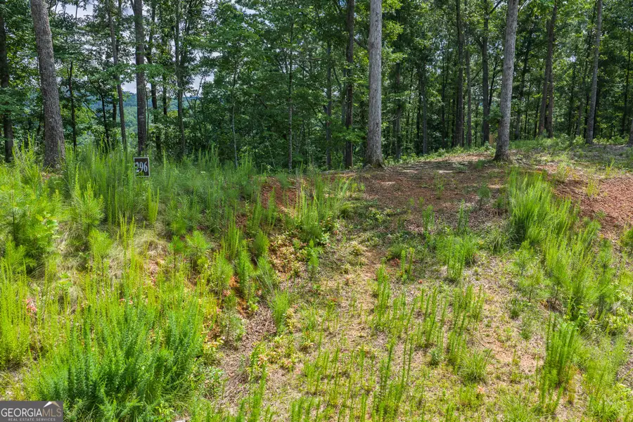 LOT 296 Pebble Trace, Talking Rock, GA 30175 - #2