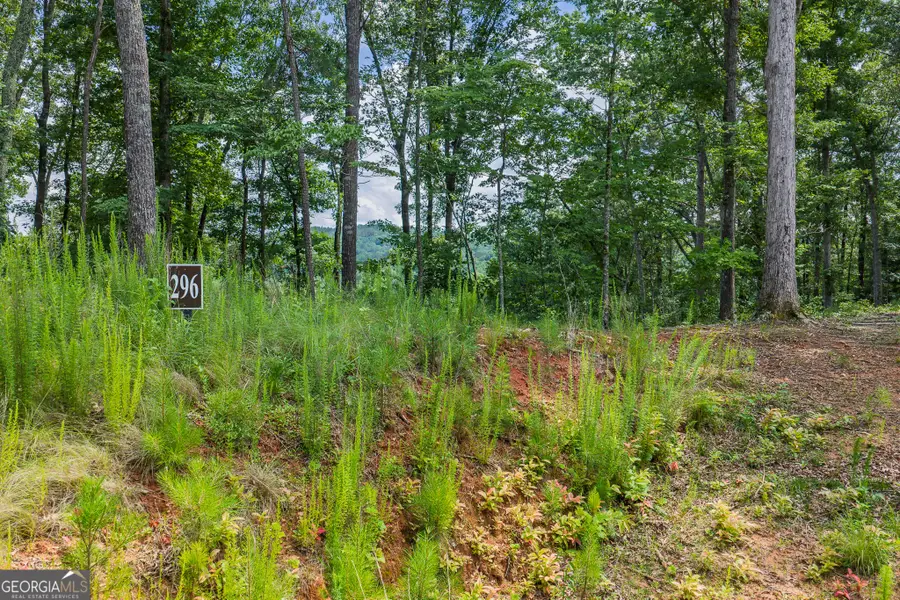 LOT 296 Pebble Trace, Talking Rock, GA 30175 - #3