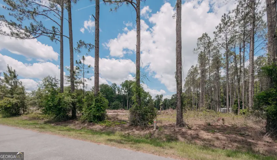 0 Issac Road, Claxton, GA 30417 - #3