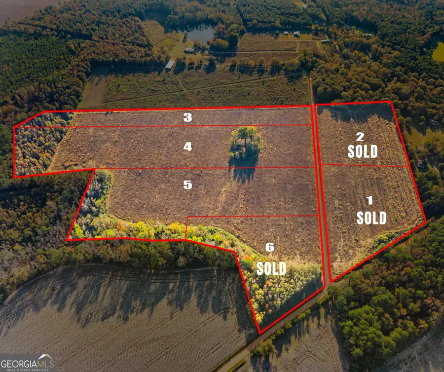 0 Waters Lane #LOT 4, Claxton, GA 30417 - #2