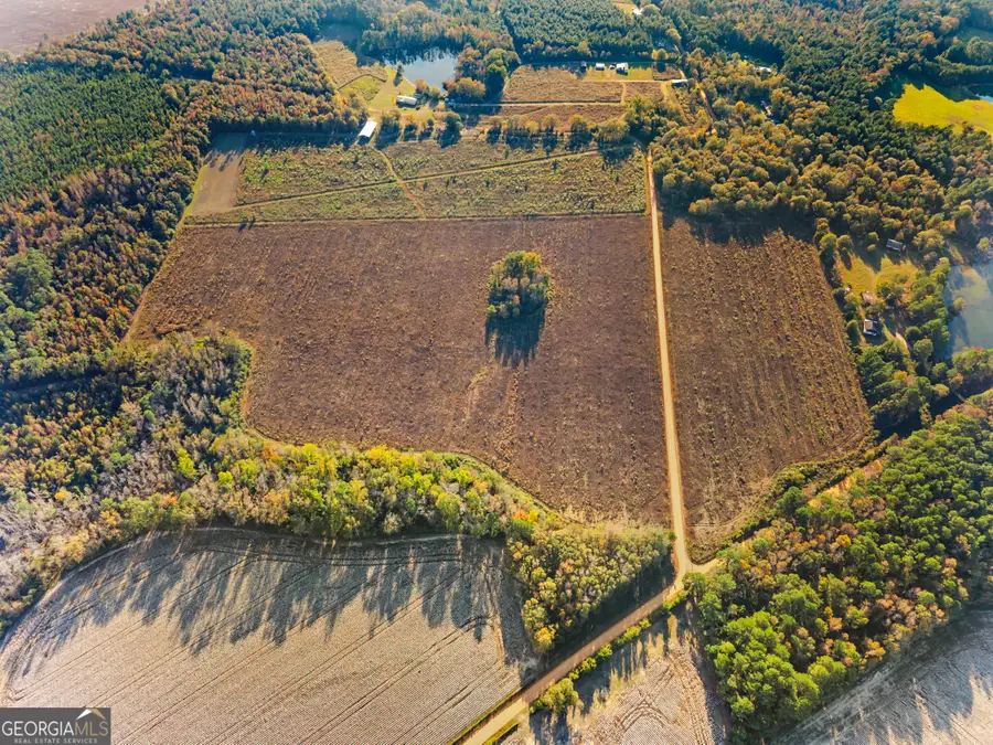 0 Waters Lane #LOT 4, Claxton, GA 30417 - #3