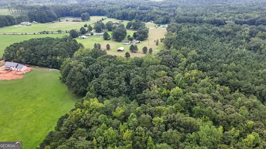 3255 Alvaton Rd, Gay, GA 30218 - #2