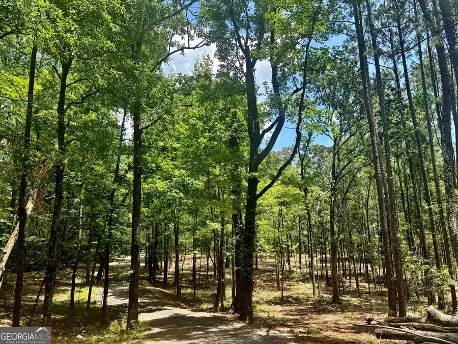1301 Johnson Road, Macon, GA 31220 - #3