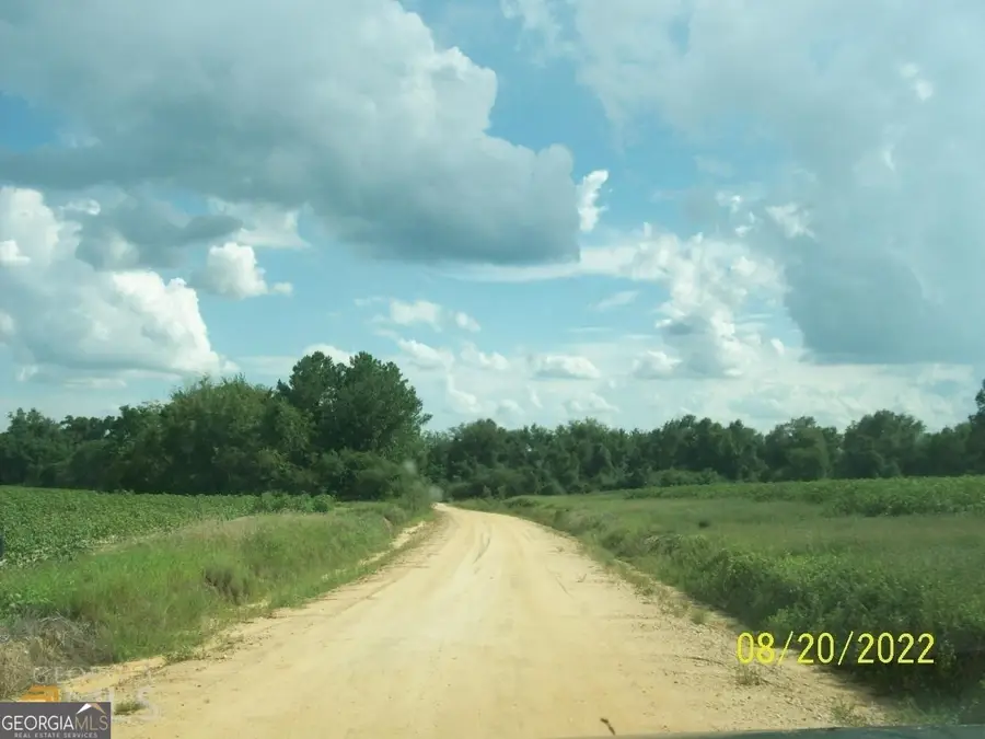 650 Howard Farm Road, Vienna, GA 31092 - #3