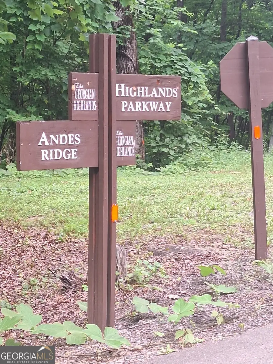 LOT 274 Andes Ridge, Ellijay, GA 30540 - #3