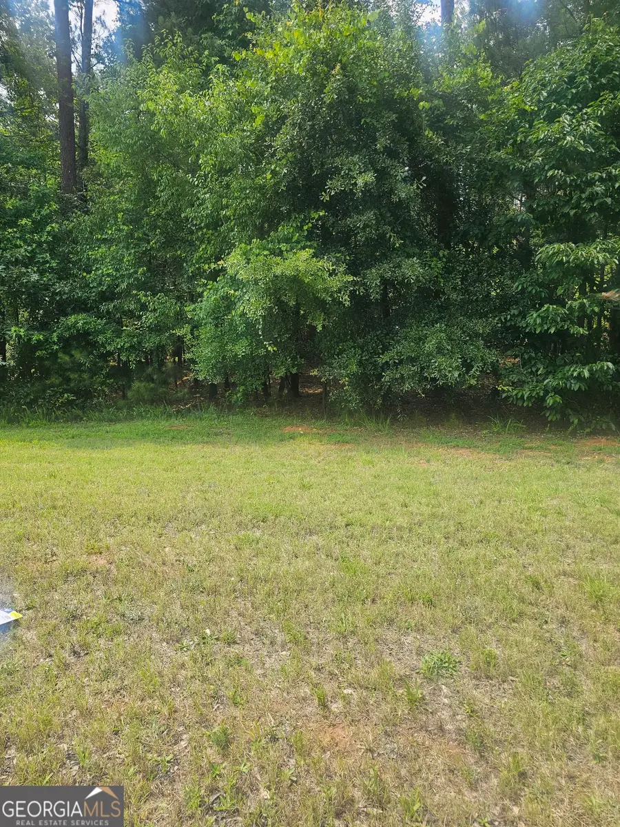 2755 Peeksville, Locust Grove, GA 30248 - #3