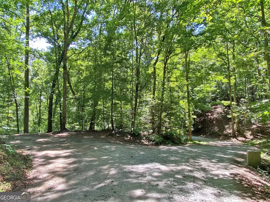 2.4AC Old River Road, Dahlonega, GA 30533 - #1