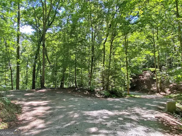 2.4AC Old River Road, Dahlonega, GA 30533