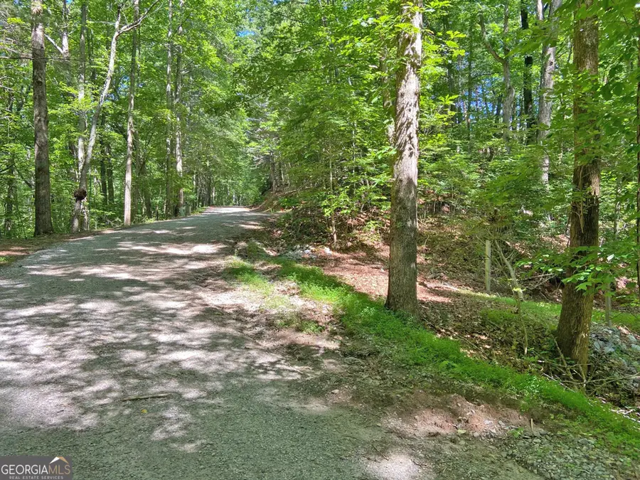 2.4AC Old River Road, Dahlonega, GA 30533 - #2
