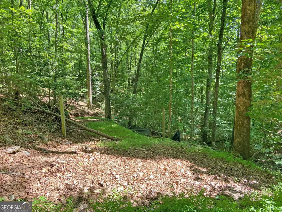 2.4AC Old River Road, Dahlonega, GA 30533 - #3