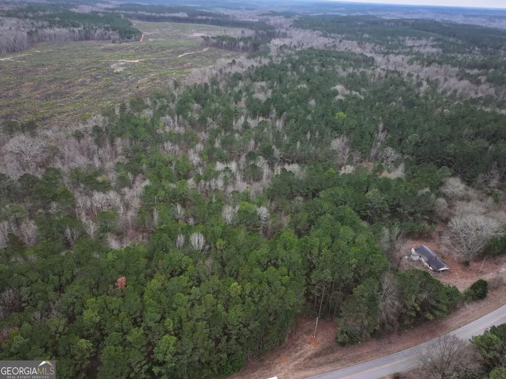 0 Victory Road #LOT 3, Franklin, GA 30217 - #1