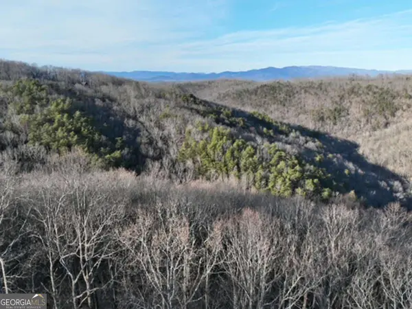 249 Andes Ridge, Ellijay, GA 30536