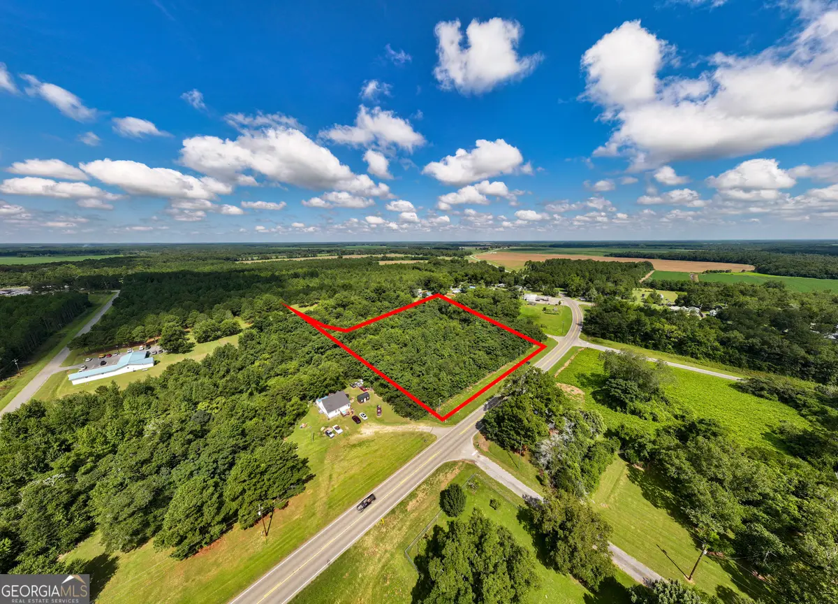 2.8 +/- ACRES Pineway Highway, Pineview, GA 31071 - #1
