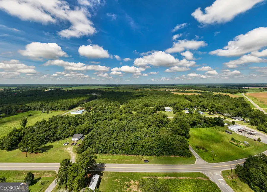 2.8 +/- ACRES Pineway Highway, Pineview, GA 31071 - #2