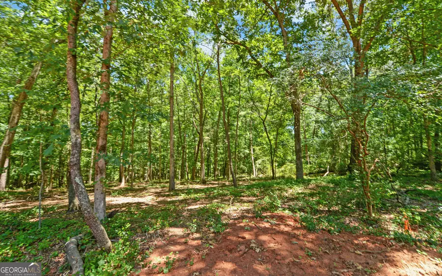 22 Blossom Trail, Lavonia, GA 30553 - #3
