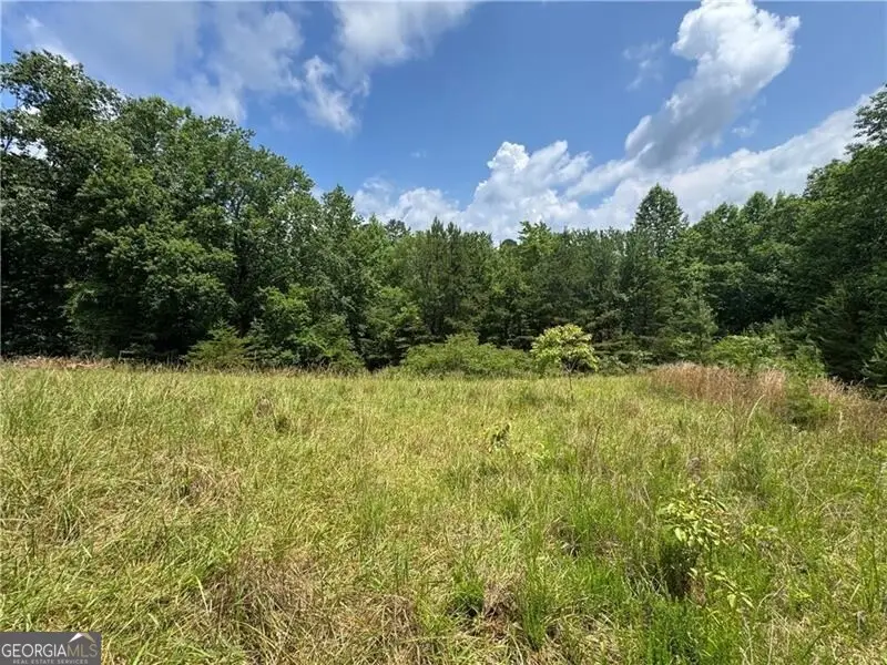 0 Ben Higgins Road, Dahlonega, GA 30533 - #2