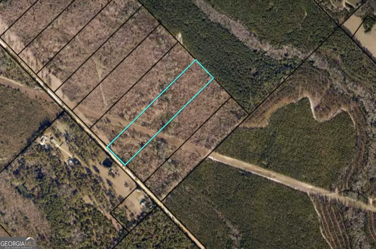 1432 Rozar Gooslby Road, Eastman, GA 31023 - #1