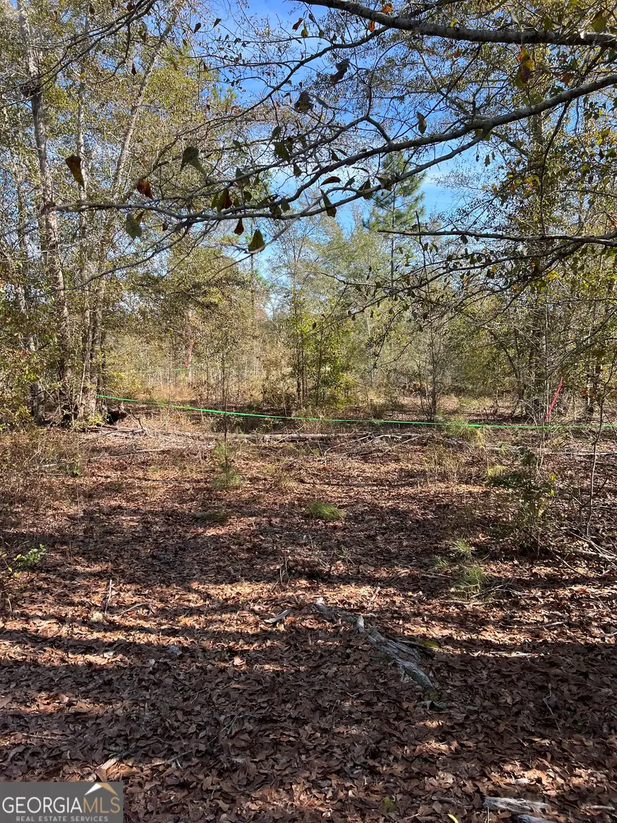 1432 Rozar Gooslby Road, Eastman, GA 31023 - #3
